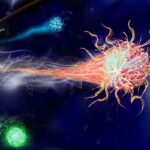 Rimedi erboristici per rinforzare il sistema immunitario